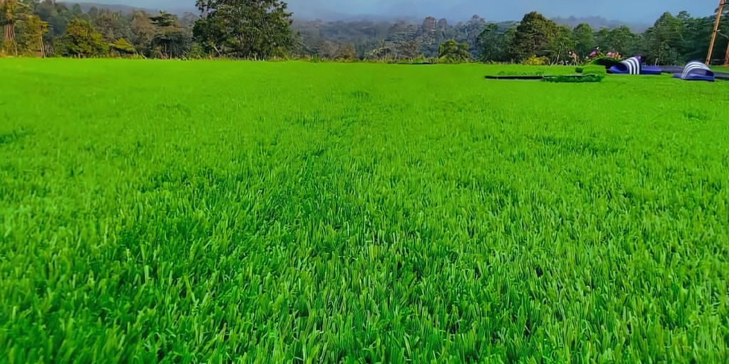 Keunggulan Rumput Sintetis Dibanding Rumput Alami